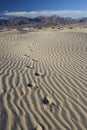 Foot Prints in Sand Ã¢â¬â Death Valley - Vertical